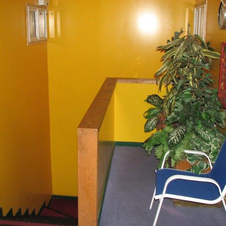 蓬塔阿雷纳斯 埃尔米拉多旅馆酒店 外观 照片